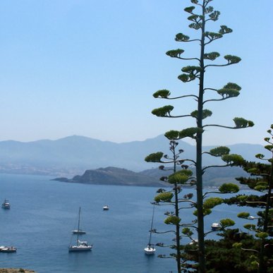 le camping europe Argels sur mer vous invite a naviguer en mediteranne vacances au soleil